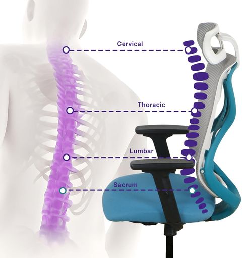 Wakefit Gravita Ergonomic Chair, Blue, DIY - Image 6