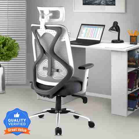 Astride Ergofit Ergonomic High Back Mesh Office Chair (Grey) - Image 2