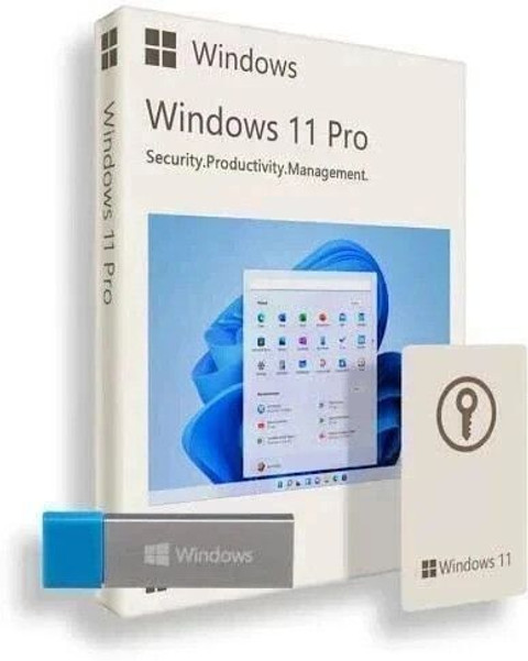 MICROSOFT Windows 11 Professional Box FPP USB 3.0 Retail Pack
