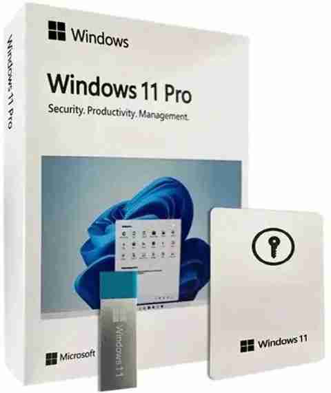MICROSOFT Windows 11 Professional Box Retail FPP Pack USB 3.0