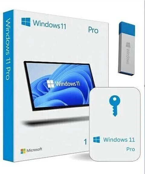 MICROSOFT Windows 11 Professional Box Retail Pack USB 3.0 FPP