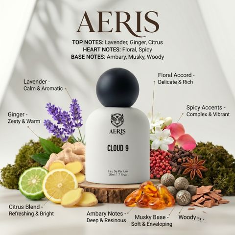 aeris CLOUD9 LONG LASTING & PREMIUM Eau de Parfum - 50 ml (For Men) - Image 4