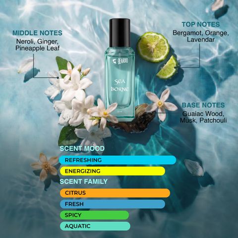 BEARDO Sea Borne & Blue Curse Perfume 40ml - Image 8