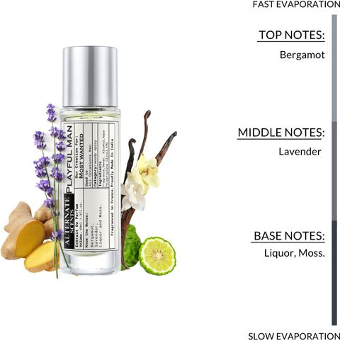Alternate Scents Playful Men's Perfume 40ml - Image 5