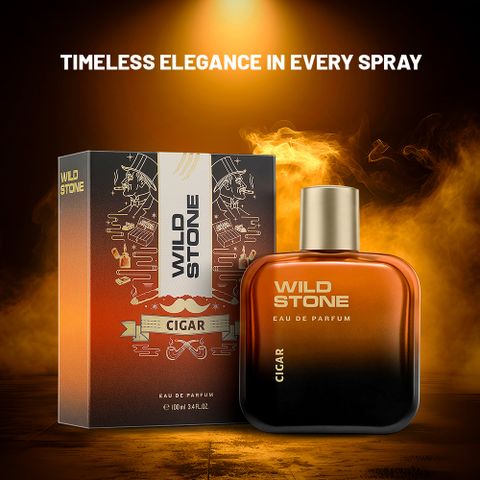 Wild Stone Cigar Long Lasting Premium Perfume for Men |Gift for Him| Smoky & Spicy Eau de Parfum - 100 ml (For Men) - Image 7