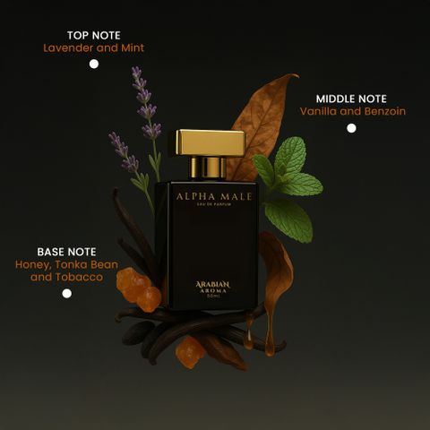Arabian Aroma Alpha Male & Old Money Eau de Parfum 100ml - Image 6
