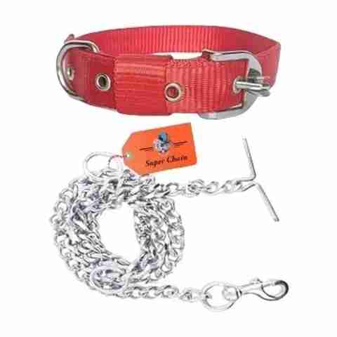 HOUSE OF COMMON Dog Belt Combo Nylon Collar with Chain Leash (Medium, - Image 5