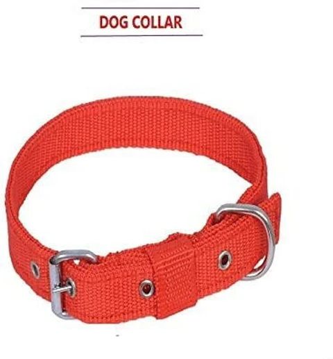 HOUSE OF COMMON Dog Belt Combo Nylon Collar with Chain Leash (Medium, - Image 6