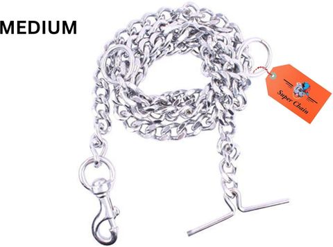 HOUSE OF COMMON Dog Belt Combo Nylon Collar with Chain Leash (Medium, - Image 7