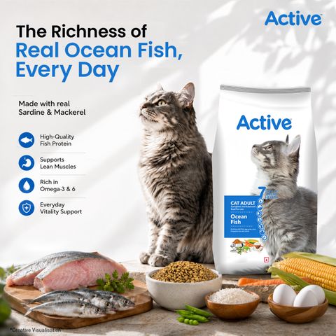 Active Buy 1 get 1(2 X 7kg) , Ocean Fish 14 kg (2x7 kg) Dry Adult Cat Food - Image 6