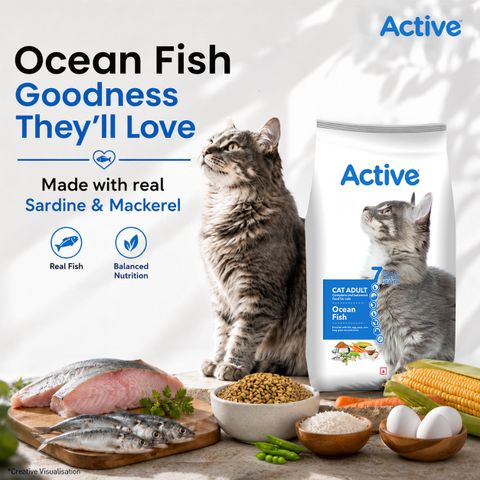 Active Buy 1 get 1(2 X 7kg) , Ocean Fish 14 kg (2x7 kg) Dry Adult Cat Food - Image 4