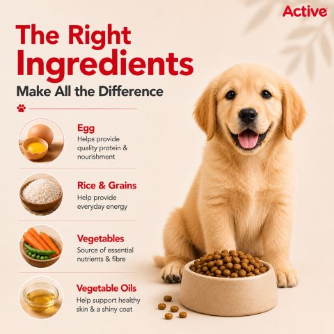 Active Buy 1 Get 1 ,Chicken and Vegetable 20 kg (2x10 kg) Dry Young Dog Food - Image 8