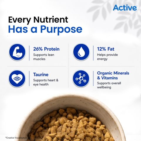 Active Buy 1 get 1(2 X 7kg) , Ocean Fish 14 kg (2x7 kg) Dry Adult Cat Food - Image 5