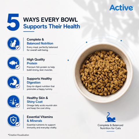 Active Buy 1 get 1(2 X 7kg) , Ocean Fish 14 kg (2x7 kg) Dry Adult Cat Food - Image 7
