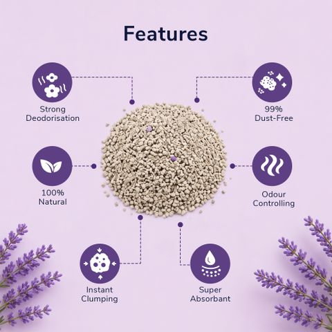PetJoy Smart Clump Cat Litter Lavender Purple - Image 6