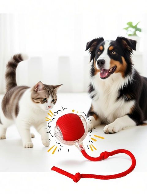 decorvaiz Smart LED 360° Rotating Cat Toy Ball Cat Dancing Ball Pet Rolling Ball Silicone Ball For Dog & Cat - Image 4