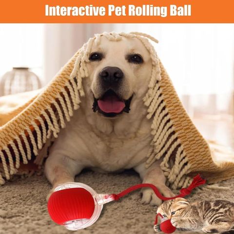 decorvaiz 360° Smart Automatic Ball Cat Toys Ball for Indoor Cats Fast Rolling on Carpet Silicone, Plastic Chew Toy For Dog & Cat - Image 4