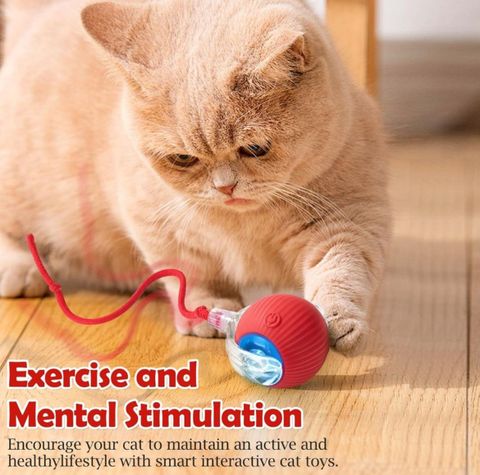 decorvaiz Smart LED 360° Rotating Cat Toy Ball Cat Dancing Ball Pet Rolling Ball Silicone Ball For Dog & Cat - Image 8