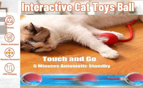 decorvaiz 360° Smart Automatic Ball Cat Toys Ball for Indoor Cats Fast Rolling on Carpet Silicone, Plastic Chew Toy For Dog & Cat - Image 5