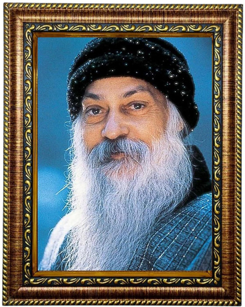 HITECH Osho's Wisdom Photo Frame 8 inch Photo Frame - HITECH