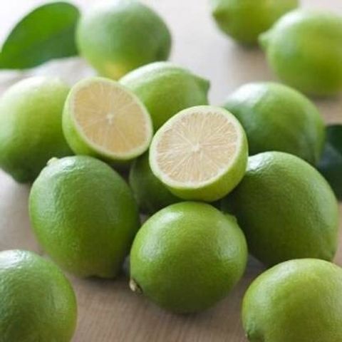 dream shop now Lemon Plant sapling Price in India - Buy dream shop