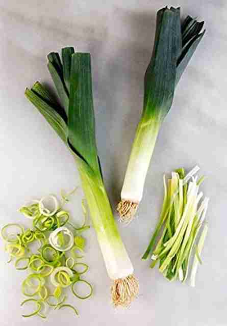 leekページ 135-leek-hybrid-vegetable-