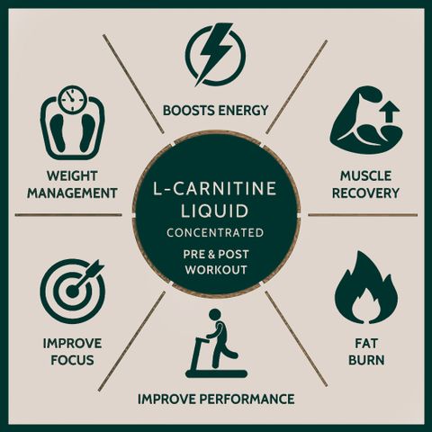 l-carnitine pre workout benefits Eligator Liquid 3500MG Pre-workout | Converts Fat to Muscles (Mango) BCAA Price in India - Buy Eligator L-Carnitine Liquid 3500MG Pre- a premium supplement designed Wholesale Glutathione Moisturizing Glow Toner for neck and face Size:60 Capsules