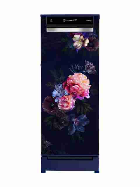 Whirlpool 207 L Direct Cool Single Door 4 Star Refrigerator (Blue Belle Epoque, 230 Vmpro Roy 4S Inv Blue Belle Epoque-Y) - Image 5