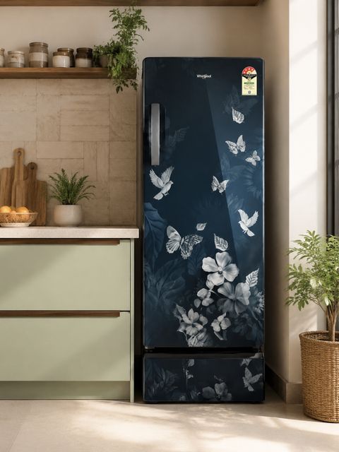 Whirlpool 192L Direct Cool Single Door 4 Star Refrigerator with Base - Image 8