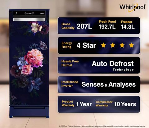 Whirlpool 207 L Direct Cool Single Door 4 Star Refrigerator (Blue Belle Epoque, 230 Vmpro Roy 4S Inv Blue Belle Epoque-Y) - Image 6