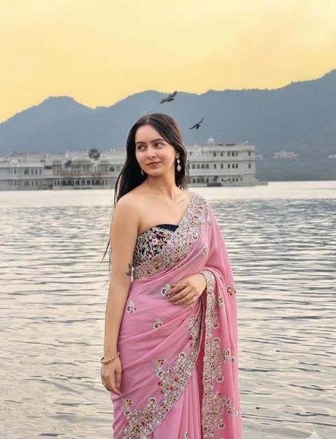 PRATYAMFASHION Embroidered Bollywood Silk Blend, Velvet Saree (Multicolor) - Image 4