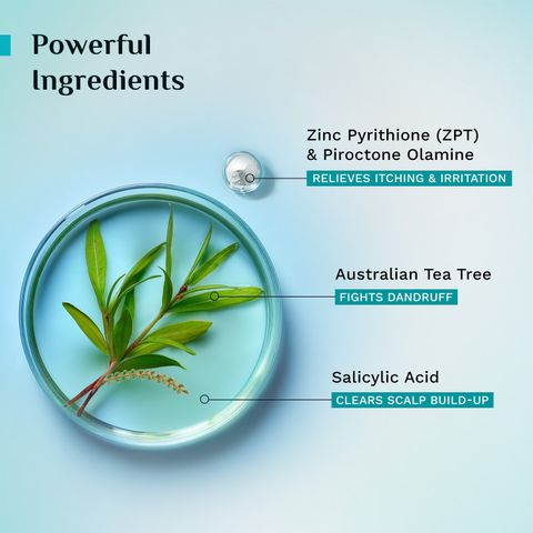 Pilgrim Australian Tea Tree Anti-Dandruff Shampoo, 100ml - Image 7