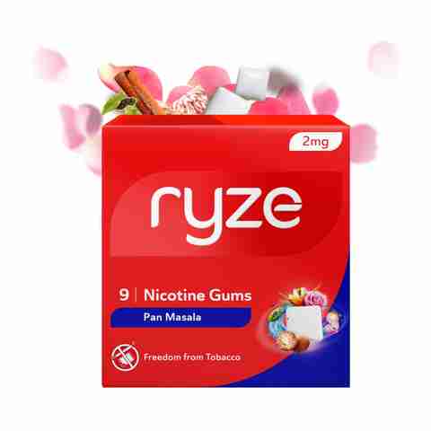 Ryze Nicotine Gum 2mg Pan Masala (Pack of 20) - Image 3