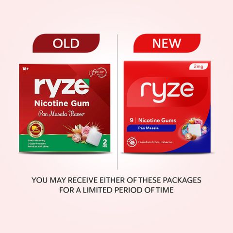 Ryze Nicotine Gum 2mg Pan Masala (Pack of 20) - Image 5