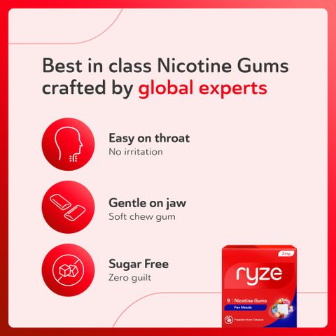 Ryze Nicotine Gum 2mg Pan Masala (Pack of 20) - Image 8