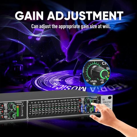 Da.Beatz. EQX 215S 15-Band Stereo Graphic EQ w/ Sub Out & XLR/TRS