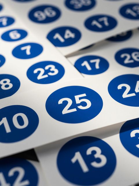 greencom 3.81 cm 1 to 50 Number Stickers 1.5 Inch Small Self