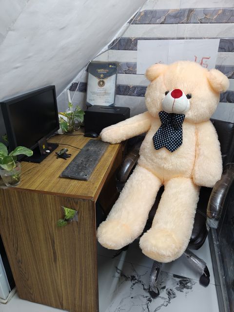 tas 5 Feet Cream Teddy Bear (152 cm) - Image 6