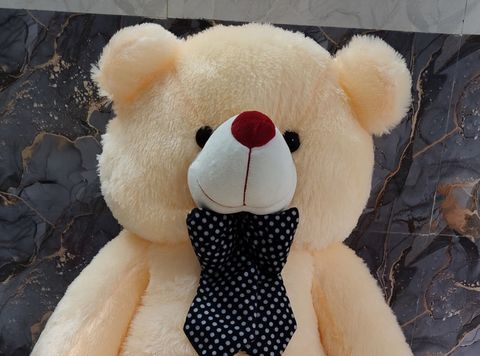 tas 5 Feet Cream Teddy Bear (152 cm) - Image 4