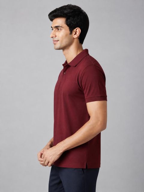 Allen Solly Men Solid Polo Neck Cotton Blend Maroon T-Shirt - Image 8
