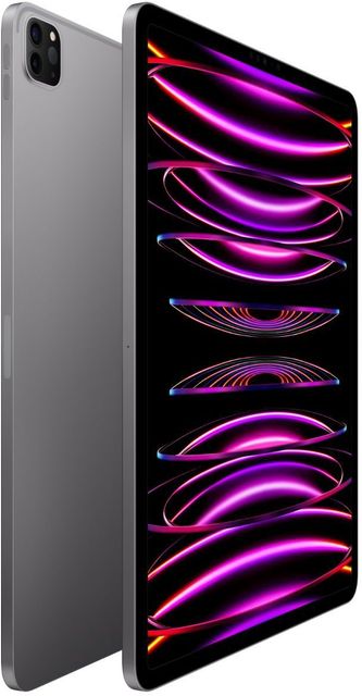 Apple 2022 iPad Pro (4th Gen) 1 TB ROM 11.0 inch with Wi-Fi+5G