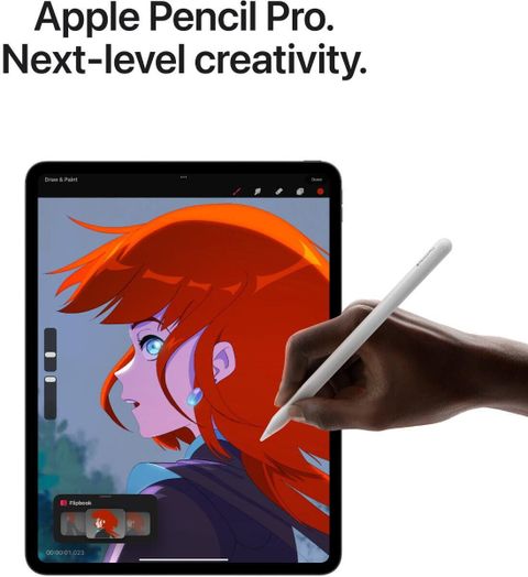 Apple 2024 iPad Pro (M4) 1 TB ROM 11.0 Inch with Wi-Fi Only Apple