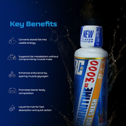 l-carnitine 3000 mg benefits Ronnie Coleman Signature Series XS 3000mg Liquid, Orange Smash Price in India Autoimmune Disease 尺寸:10 克（0.4 盎司） Fancl Brightening Essence Review