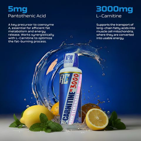 Ronnie Coleman Signature Series L-Carnitine XS 3000mg Liquid, Pink Lemonade Price in India