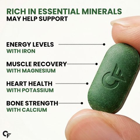 CARBAMIDE FORTE Certified Organic Spirulina Tablets 2000mgTo Support Energy, Immunity (180 Tablets) - Image 7