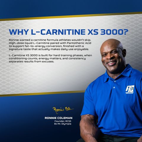 l carnitine mr olympia Ronnie Coleman Signature Series L-Carnitine XS 3000mg Liquid, Pink Lemonade Price in India Nutrex Liquid Carnitine 3000 Features:Made in the USA Size:10 Grams (0.4 oz) NOW Foods L-Carnitine 500