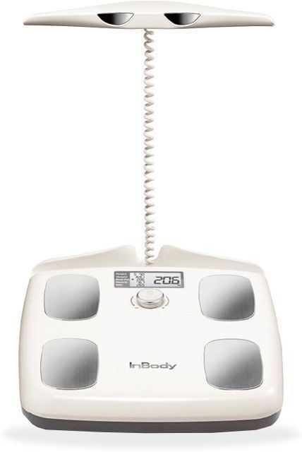インボディ　h20 InBody Dial H20 Weighing Scale Price in India - Buy InBody Dial