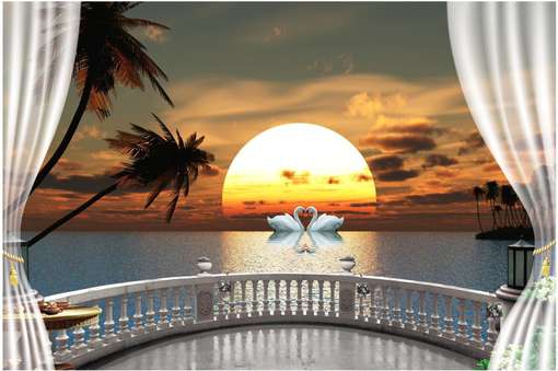 Image Placeholder