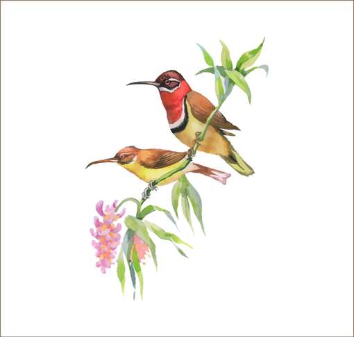 Image Placeholder