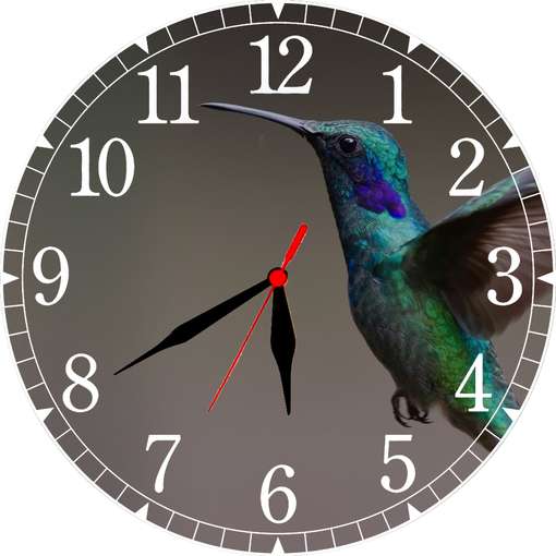 Image Placeholder